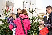 Weihnachtsbaumverkauf 2015 von Autohaus Muermann GmbH