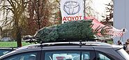Weihnachtsbaumverkauf 2015 von Autohaus Muermann GmbH